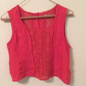 kimchi blue knit crop top